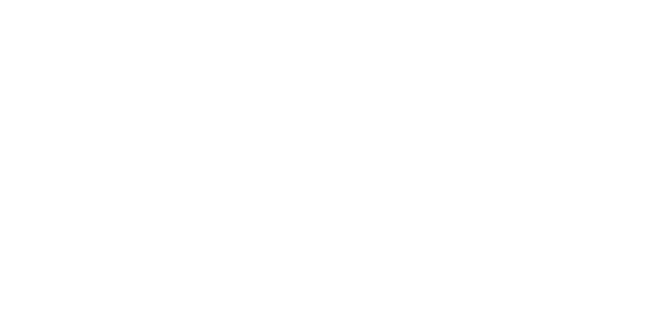 Rolevic Group